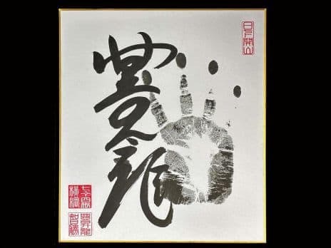 Hoshoryu sumo autograph (tegata)