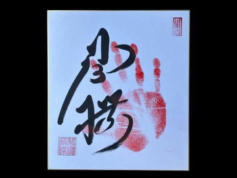 Kotozakura sumo autograph (tegata)