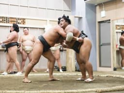 Sumo wrestlers practice and exercise in the ring
