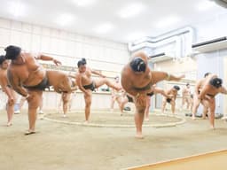 Sumo wrestlers practice and exercise in the ring