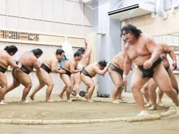 Sumo wrestlers practice and exercise in the ring