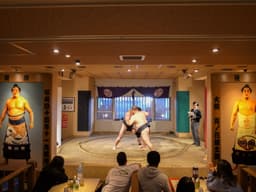 Watch a demonstration of sumo rules and techniques