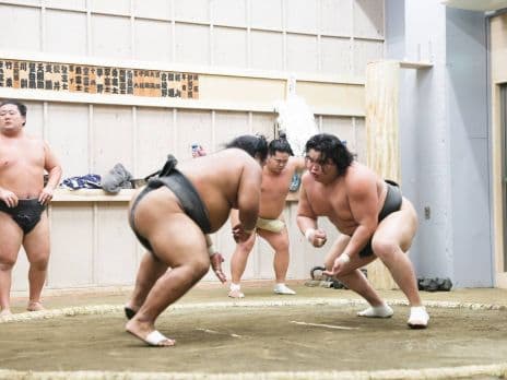 Sumo wrestlers practice and exercise in the ring