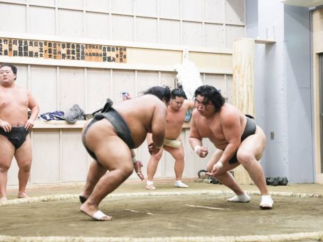 Sumo Special Events | BuySumoTickets